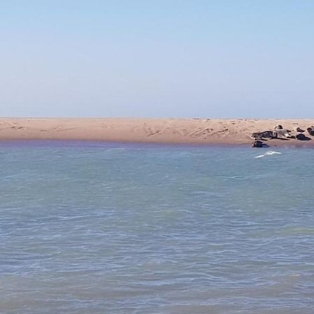 L Hyppo Camp' Bed & Breakfast Oye-Plage Exterior foto