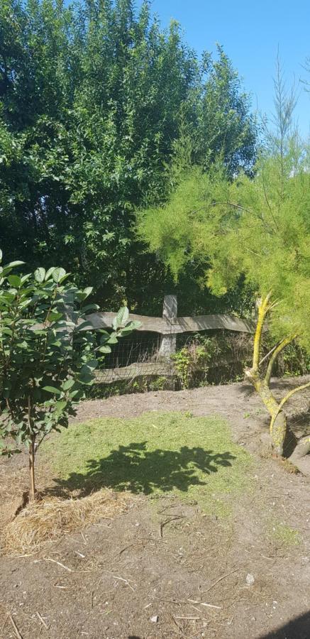 L Hyppo Camp' Bed & Breakfast Oye-Plage Exterior foto